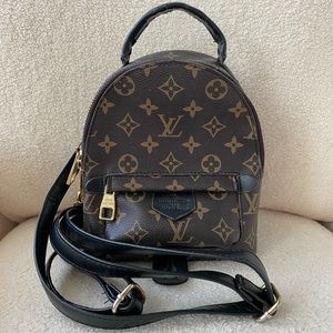 Louis Vuitton Palm Springs Mini Backpack